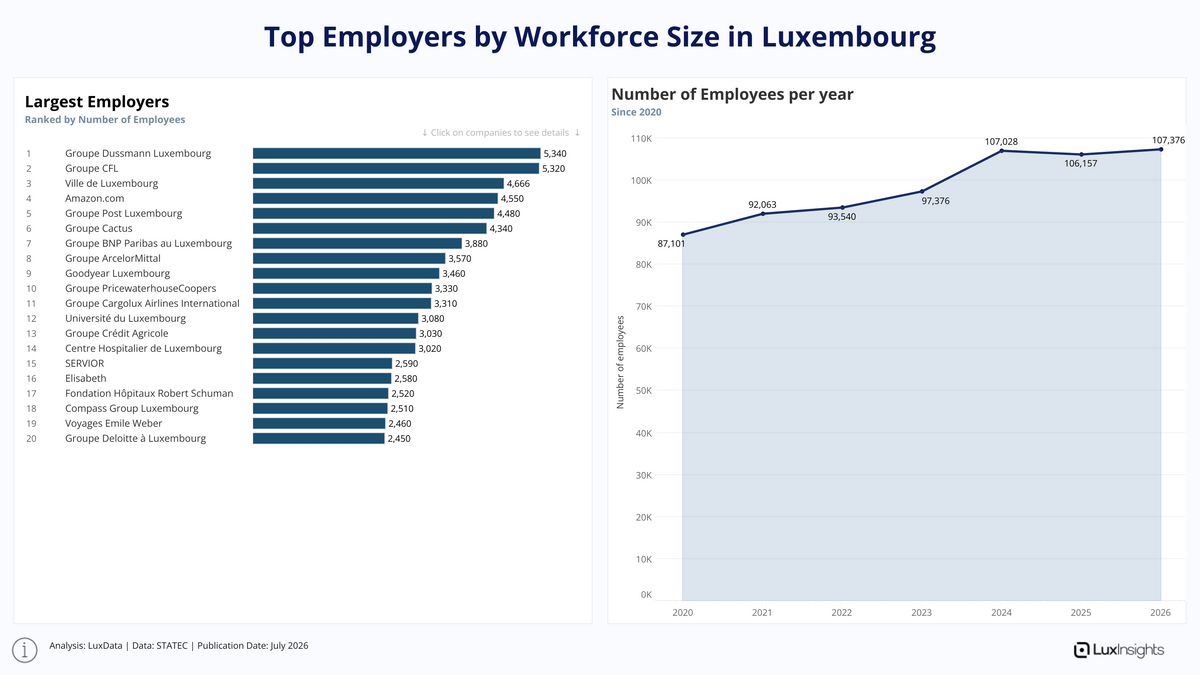 Visualization of Largest Employers