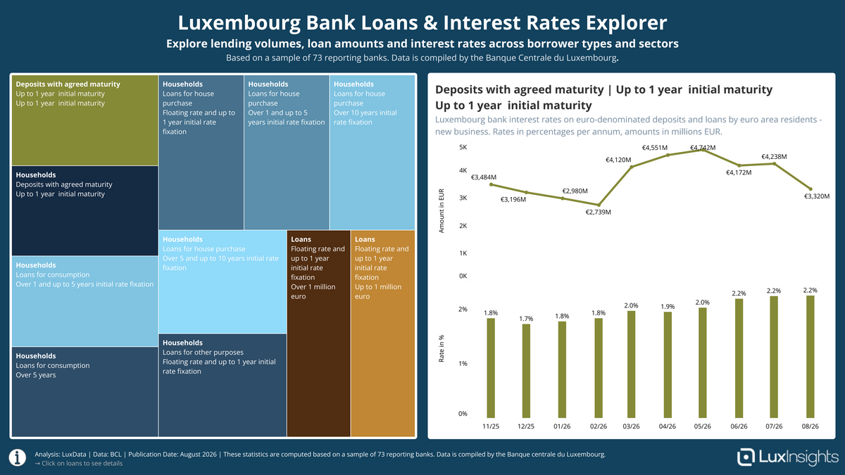 Visualization of Luxembourg Bank Loans & Interest Rates Explorer