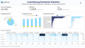 Visualization of Luxembourg Enterprise Statistics