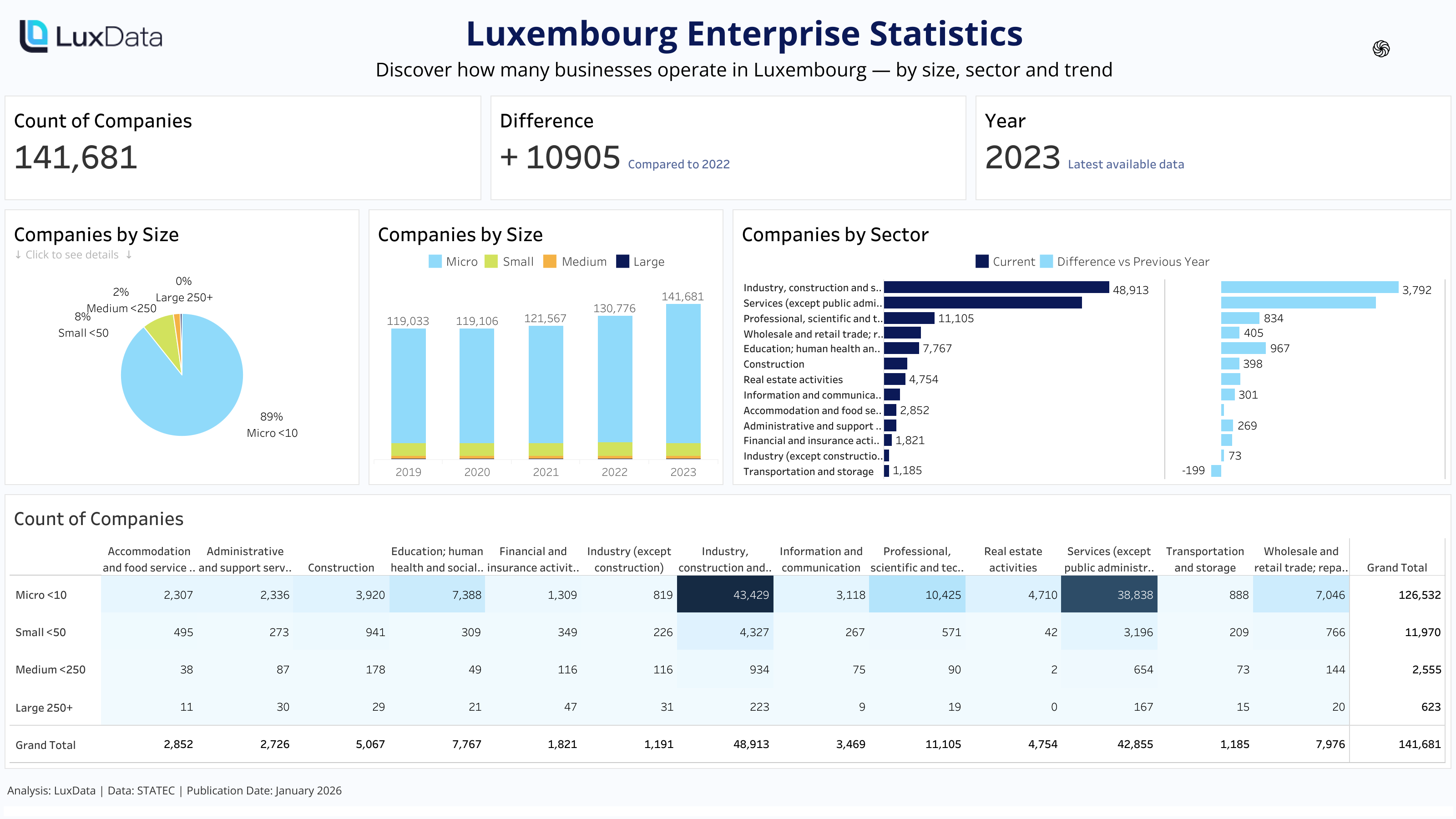 Visualization of Luxembourg Enterprise Statistics
