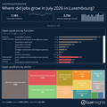 Visualization of Which Sectors Added Jobs